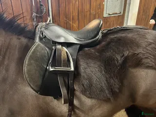 Sadlar hästutrustning Ponnysadel - Annons 6