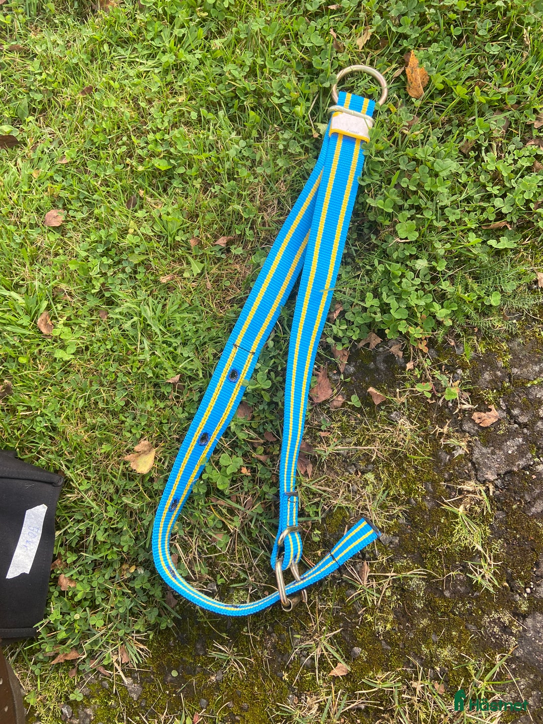 Övrig Hästutrustning hästutrustning till salu: Olika hästgrejer i Skövde - Annons 2