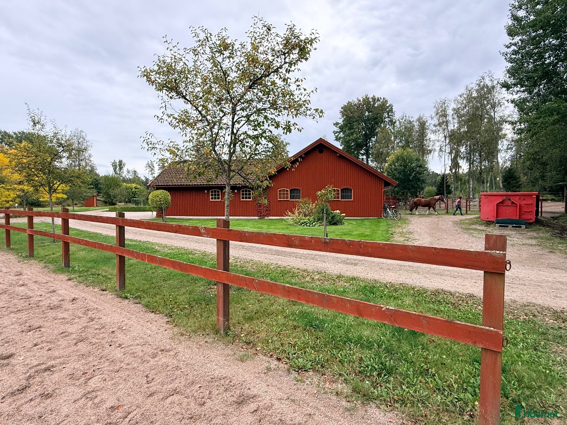 hästar Sto till livslångt femstjärnigt hem! - Annons 2
