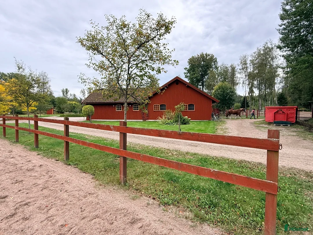 Allround hästar sökes: Sto till livslångt femstjärnigt hem! i Nyköping - Annons 2