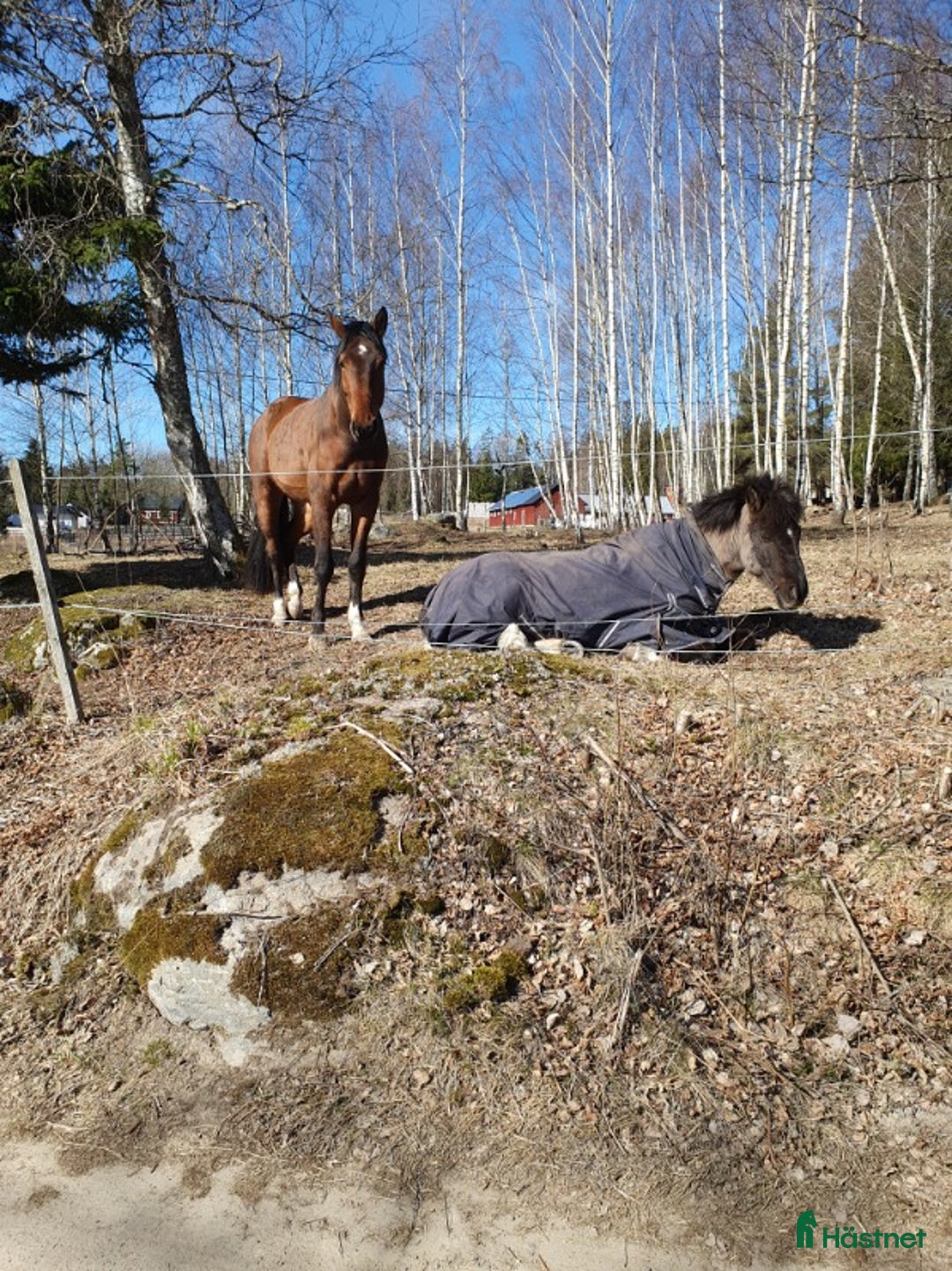  stallplats finnes: Halvkollektivt Tungelsta  i Tungelsta - Annons 1