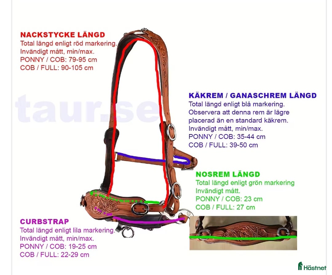 Träns hästutrustning till salu: Bettlöst Hackamore  i Ludvika - Annons 3