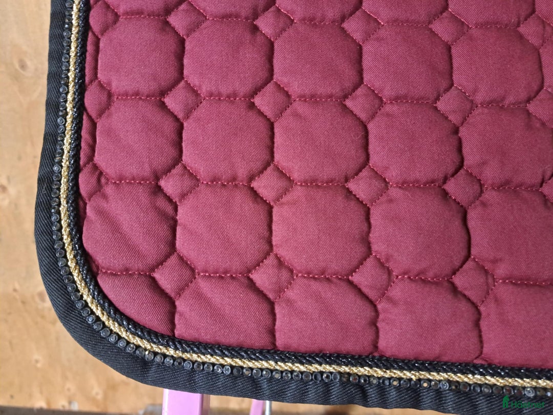 Schabrak & Vojlockar hästutrustning till salu: E-logga med glittersvart/guld passpoal + swarovski - Annons 5