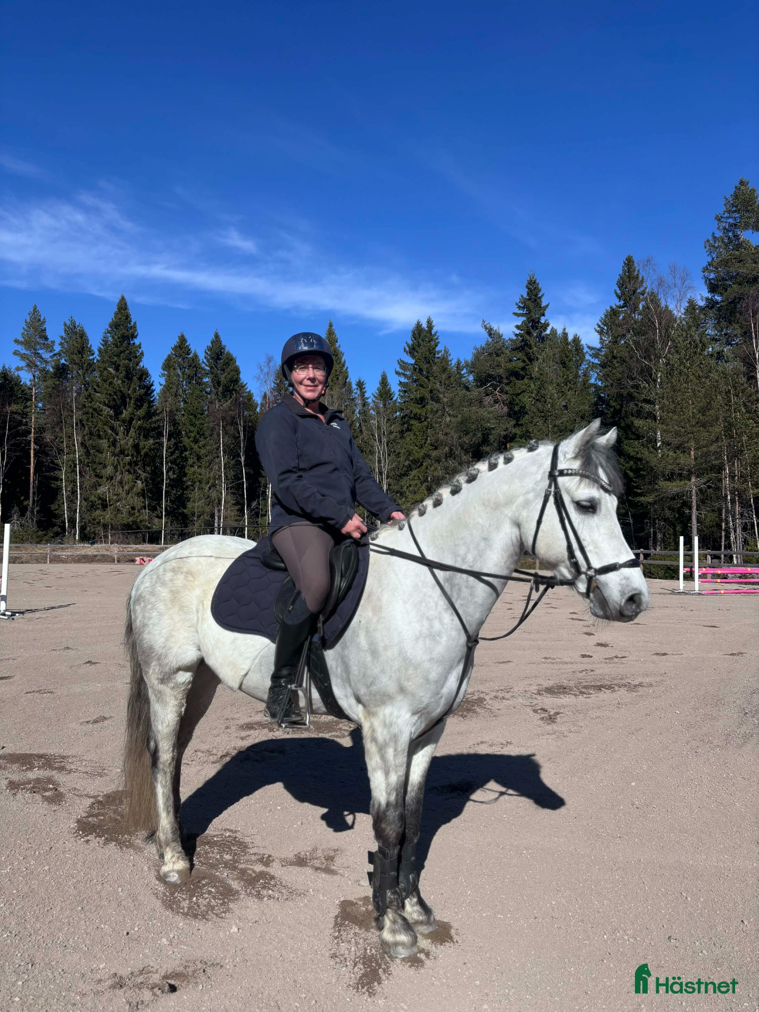  hästar Supersnygg Connemaraponny - Annons 2