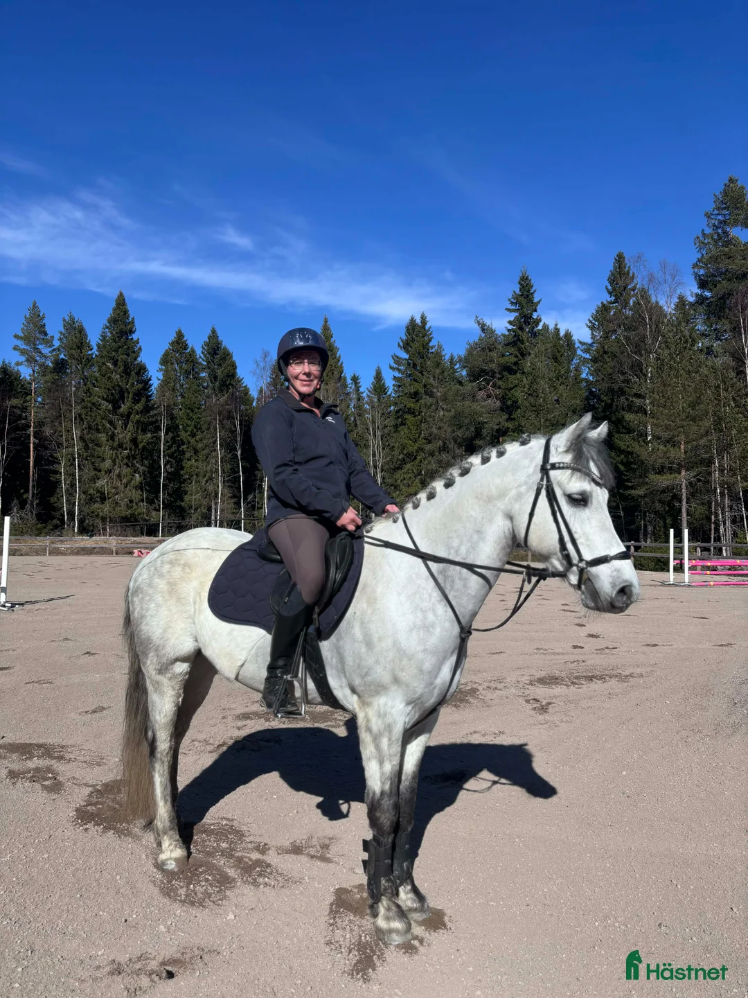 Hoppning hästar till salu: Supersnygg Connemaraponny - Annons 2