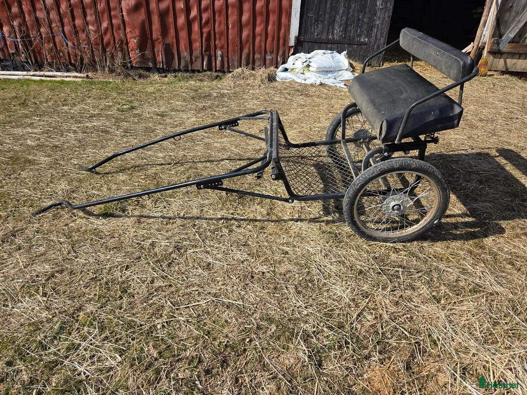Körvagnar körning till salu: trevlig Ponny rockard - Annons 1