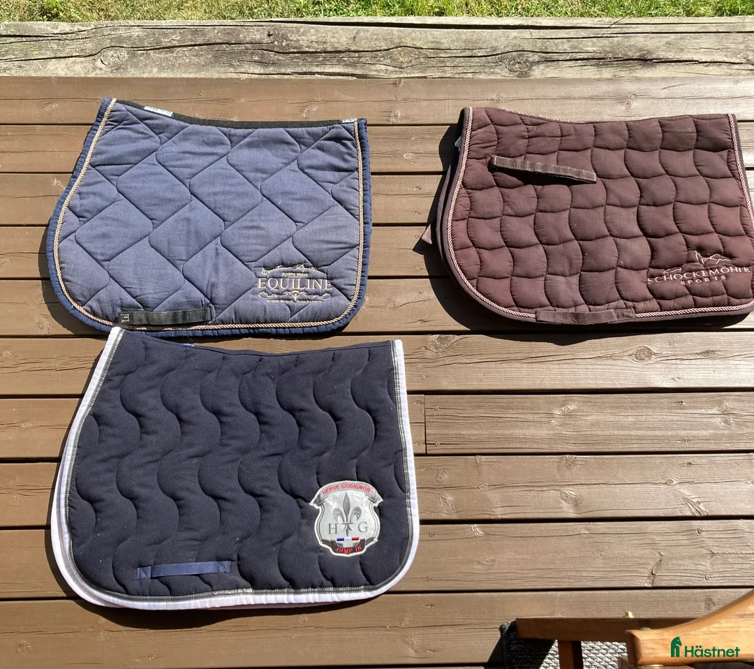 Schabrak & Vojlockar hästutrustning till salu: Schabrak i Stockholm - Annons 1