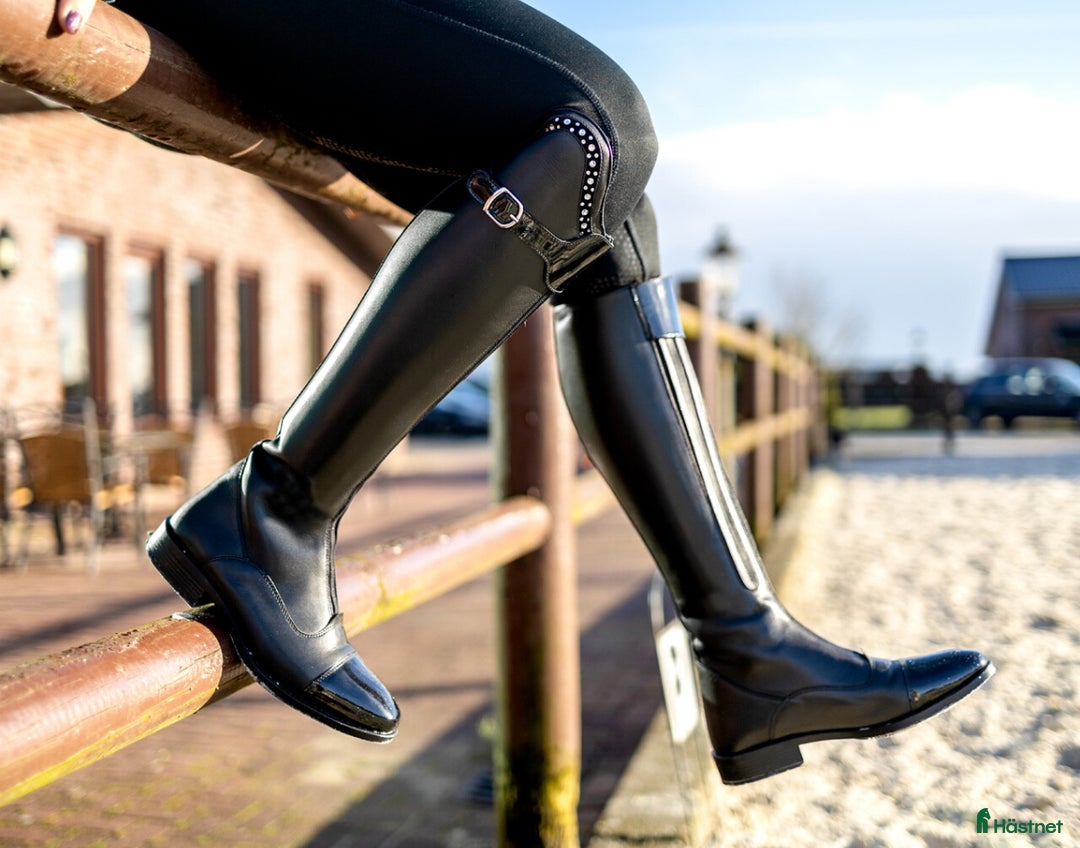 Ridstövlar ryttarutrustning till salu: Ridstövlar QHP Dorah i Västerås - Annons 8