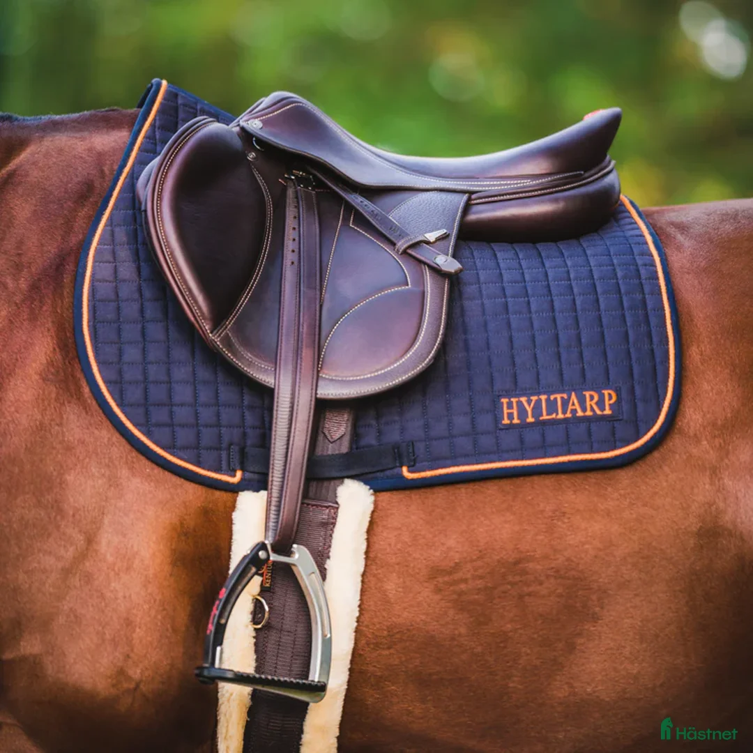 Täcken hästutrustning till salu: Fina Hyltarp saker  i Strömstad - Annons 4