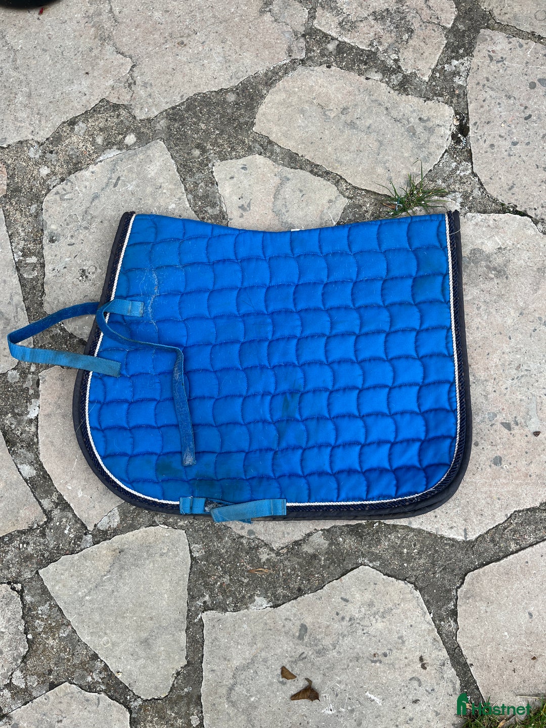 Schabrak & Vojlockar hästutrustning till salu: Schabrak  i Visby - Annons 3