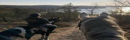  hästjobb finnes: Ridlärare, flexibel omfattning - Annons 3