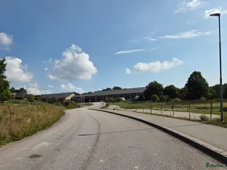 stallplats Vi har lediga boxar i Johannishus - Annons 20