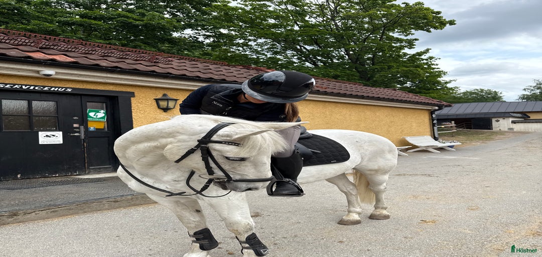 Galleribild {{count}}