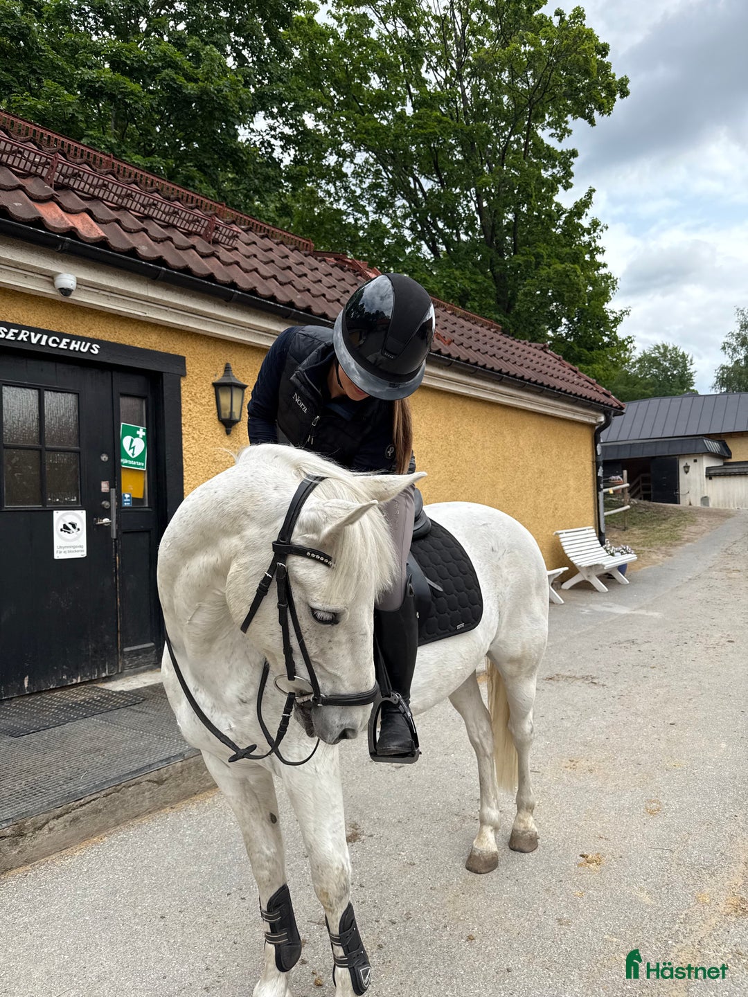 Galleribild {{count}}