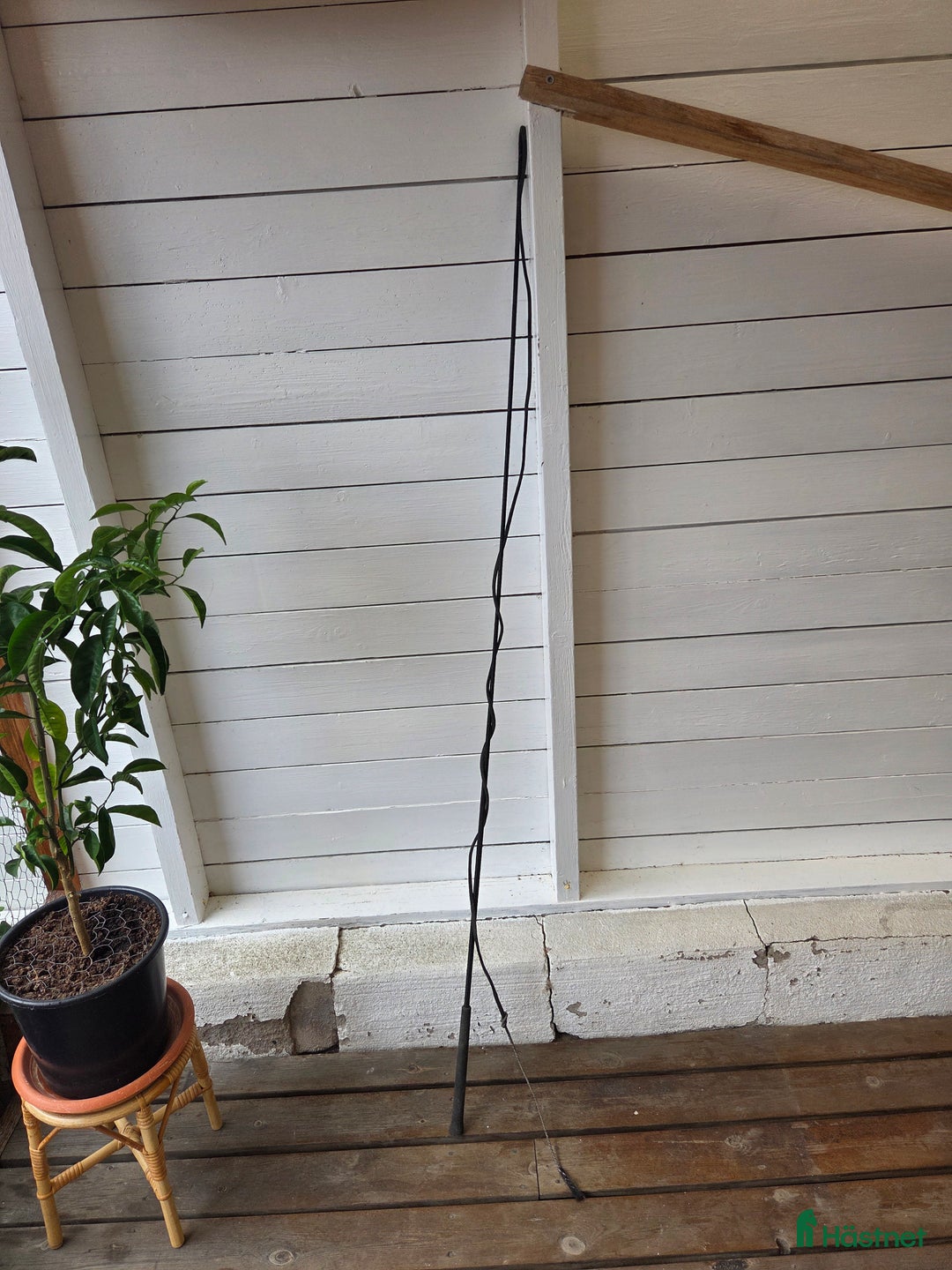 Övrig Hästutrustning hästutrustning till salu: Longeringspisk i Virsbo - Annons 1