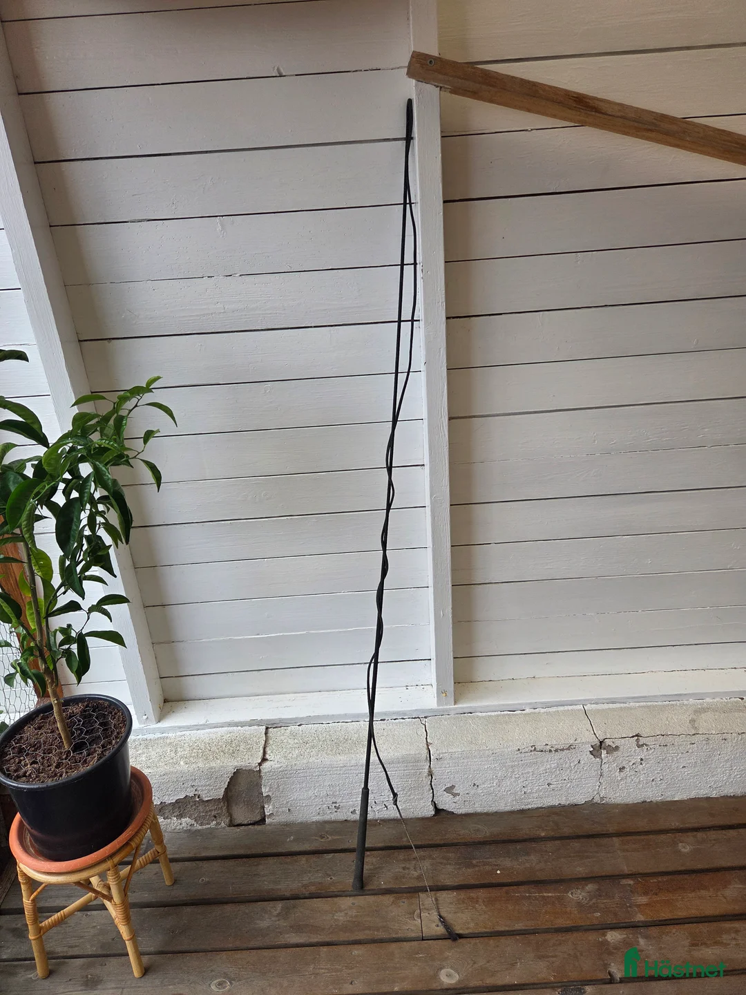 Övrig Hästutrustning hästutrustning till salu: Longeringspisk i Virsbo - Annons 1