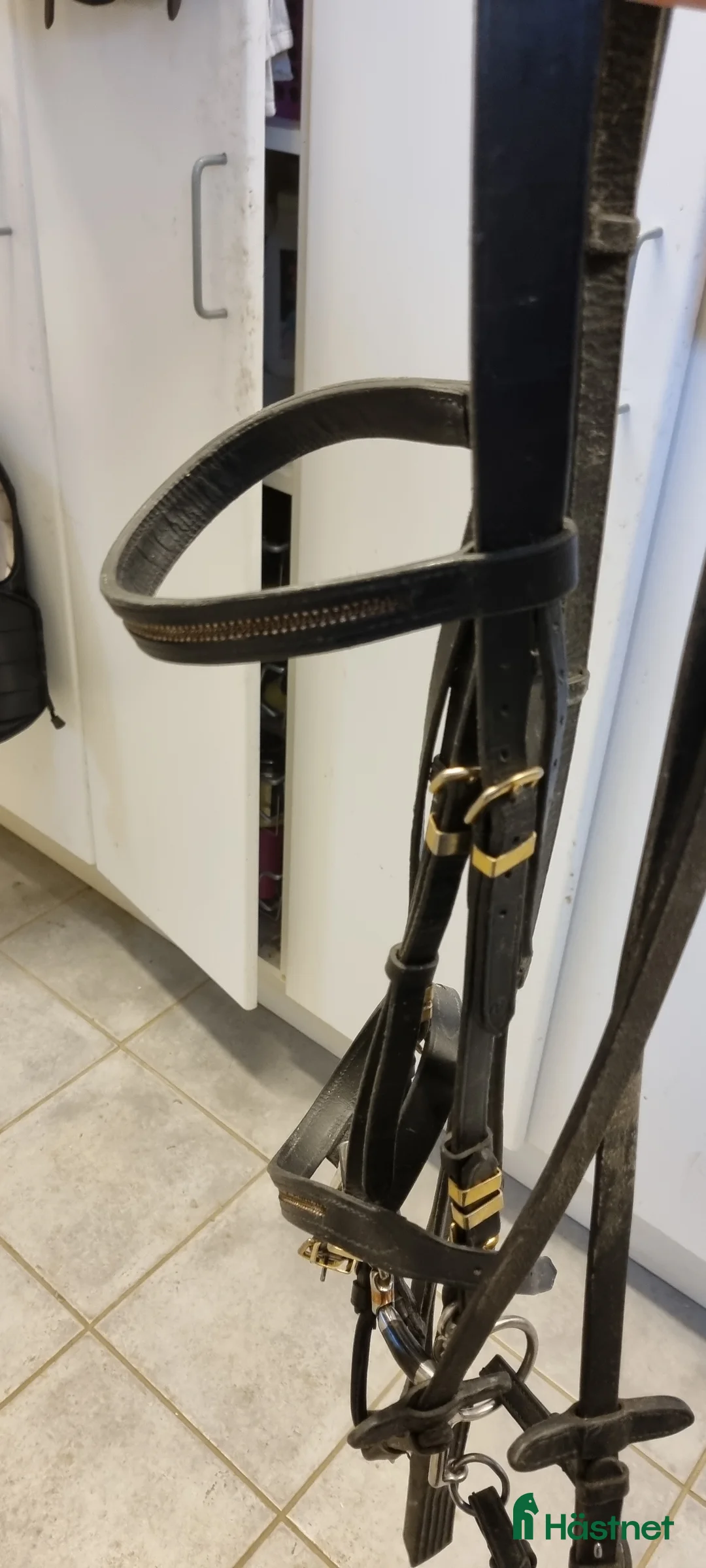 Träns hästutrustning till salu: Träns med gulddetaljer - Annons 2