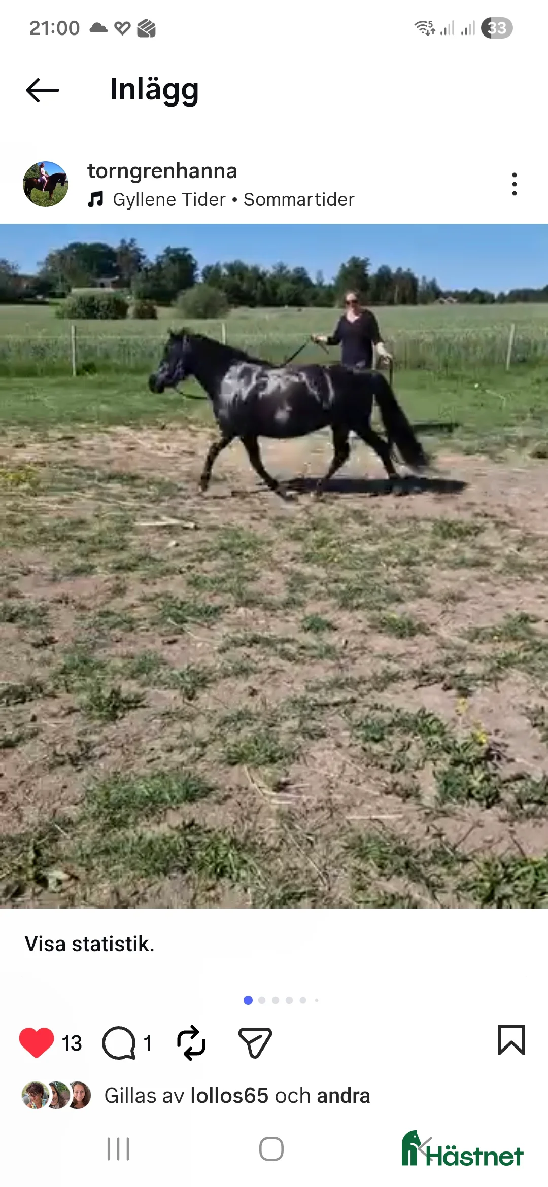 Allround hästar till salu: Supersöta Mimmi - Annons 4