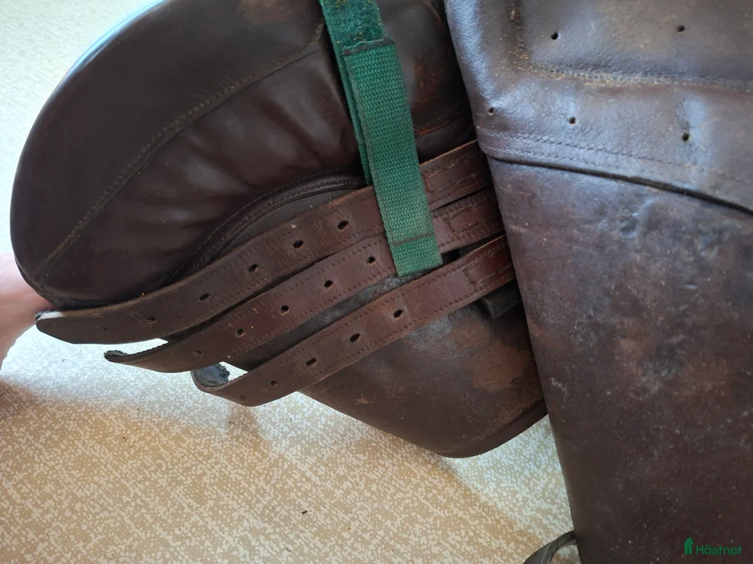 Övrig Hästutrustning hästutrustning till salu: Sele, sadel, träns och mer i Göteborg - Annons 6