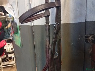 Träns hästutrustning till salu: Brunt micklem träns i Heberg - Annons 1