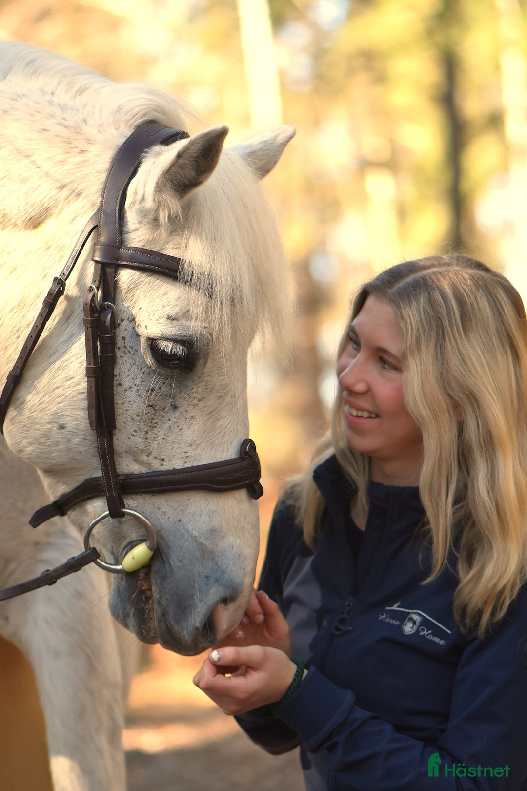 Allround hästar till salu: Härlig allroundponny  i Solna - Annons 8