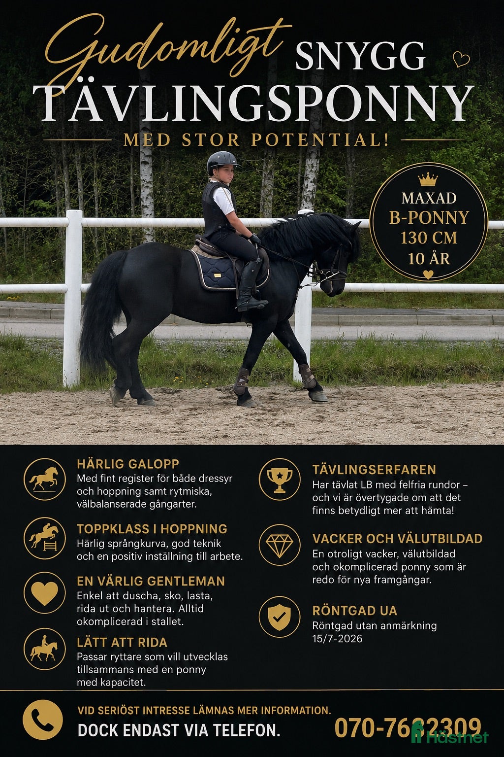  hästar Gudomligt snygg ponny! - Annons 4