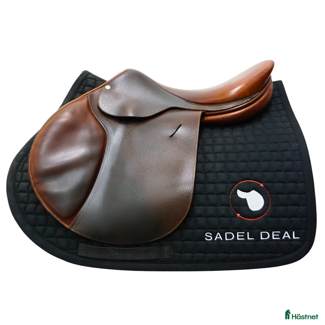 Sadlar hästutrustning till salu: Butet L 17" - Annons 1