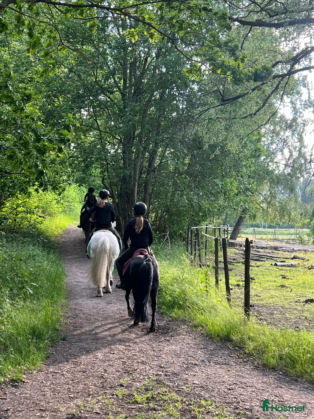  hästjobb finnes: Ridlärare sökes till Ridskola i Täby, Viggbyholm i Täby - Annons 4