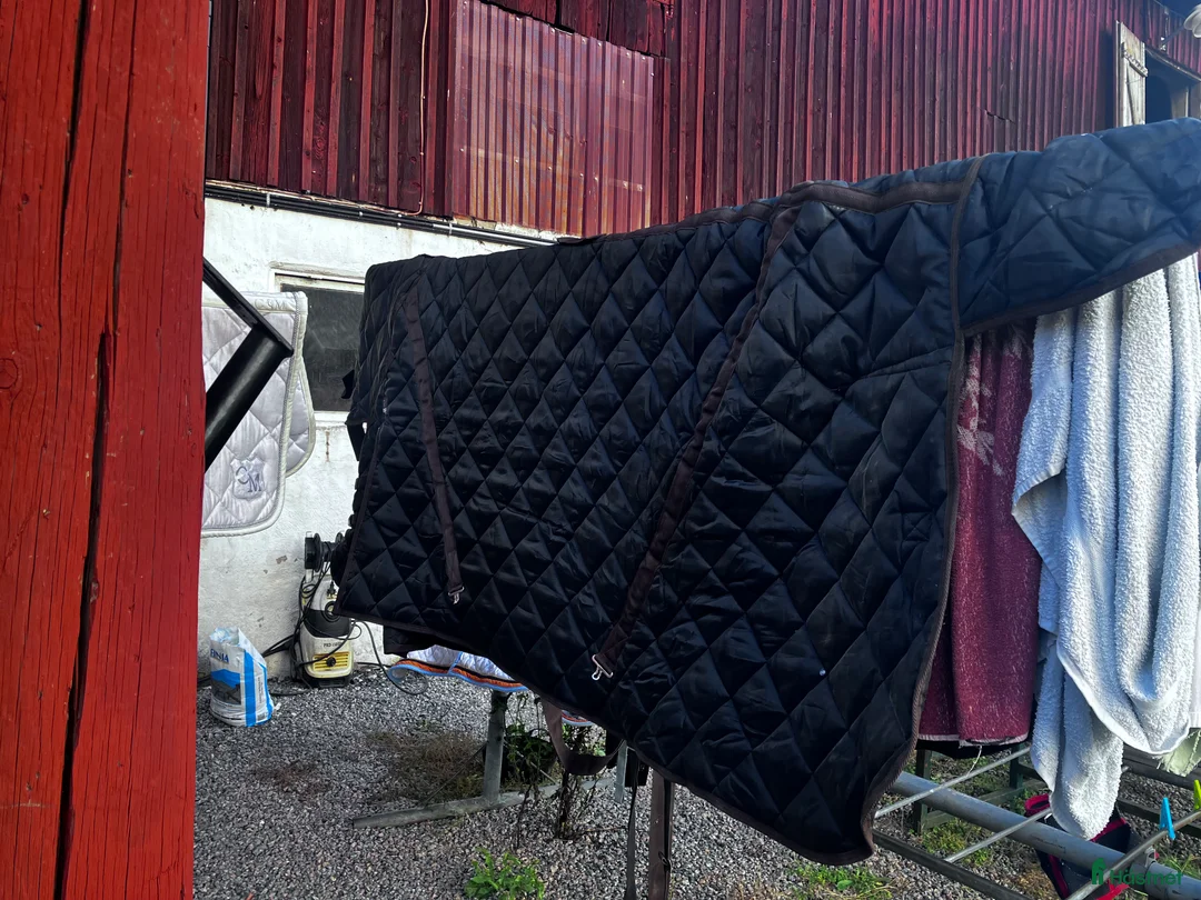 Täcken hästutrustning till salu: Stalltäcke Catago 500g stl 165 i Rimbo - Annons 4