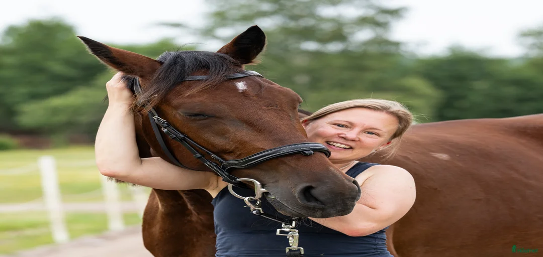 Galleribild {{count}}