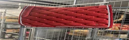 Schabrak & Vojlockar hästutrustning till salu: Ps of sweden,kingsland,back on track dressyr - Annons 4