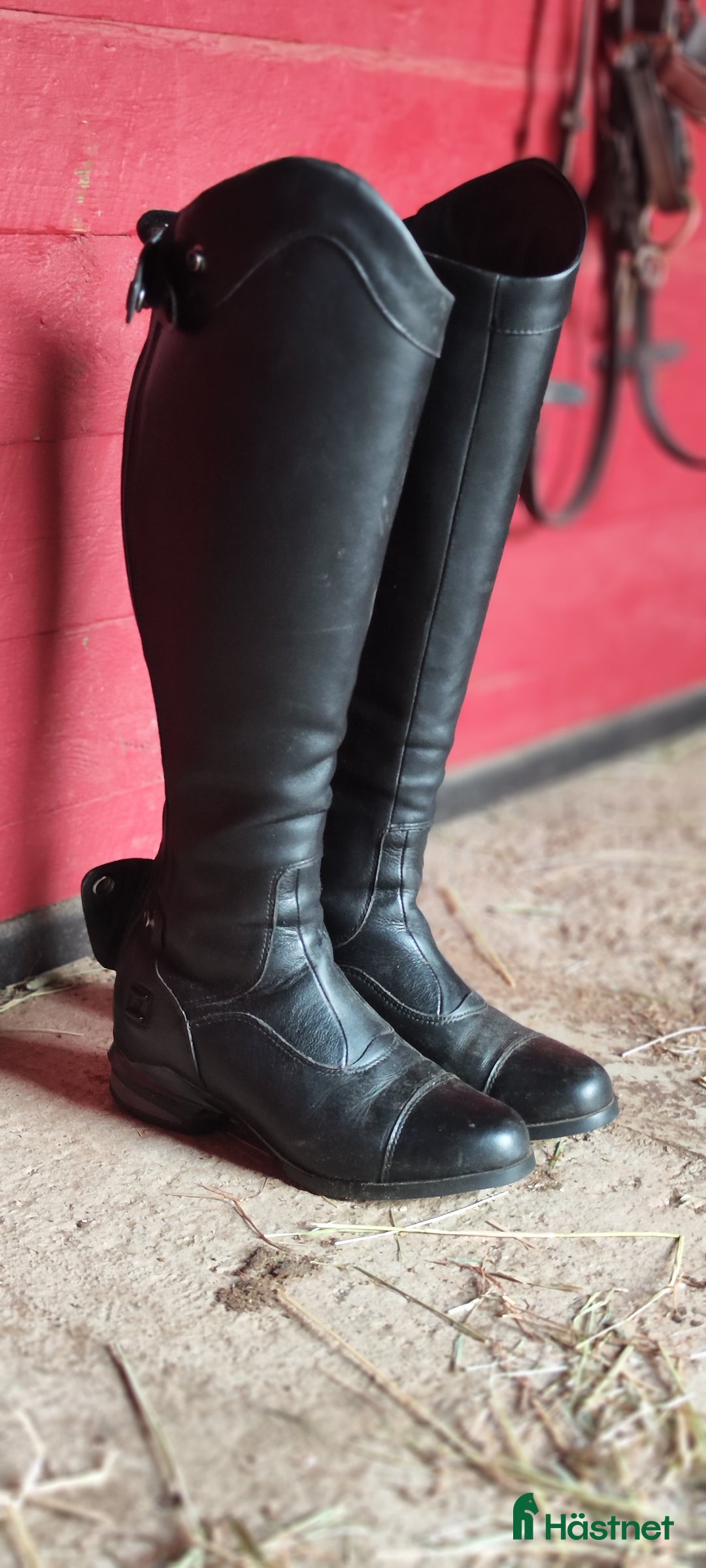Ridstövlar ryttarutrustning till salu: Ariat Nitro ridstövlar  i Vimmerby - Annons 2