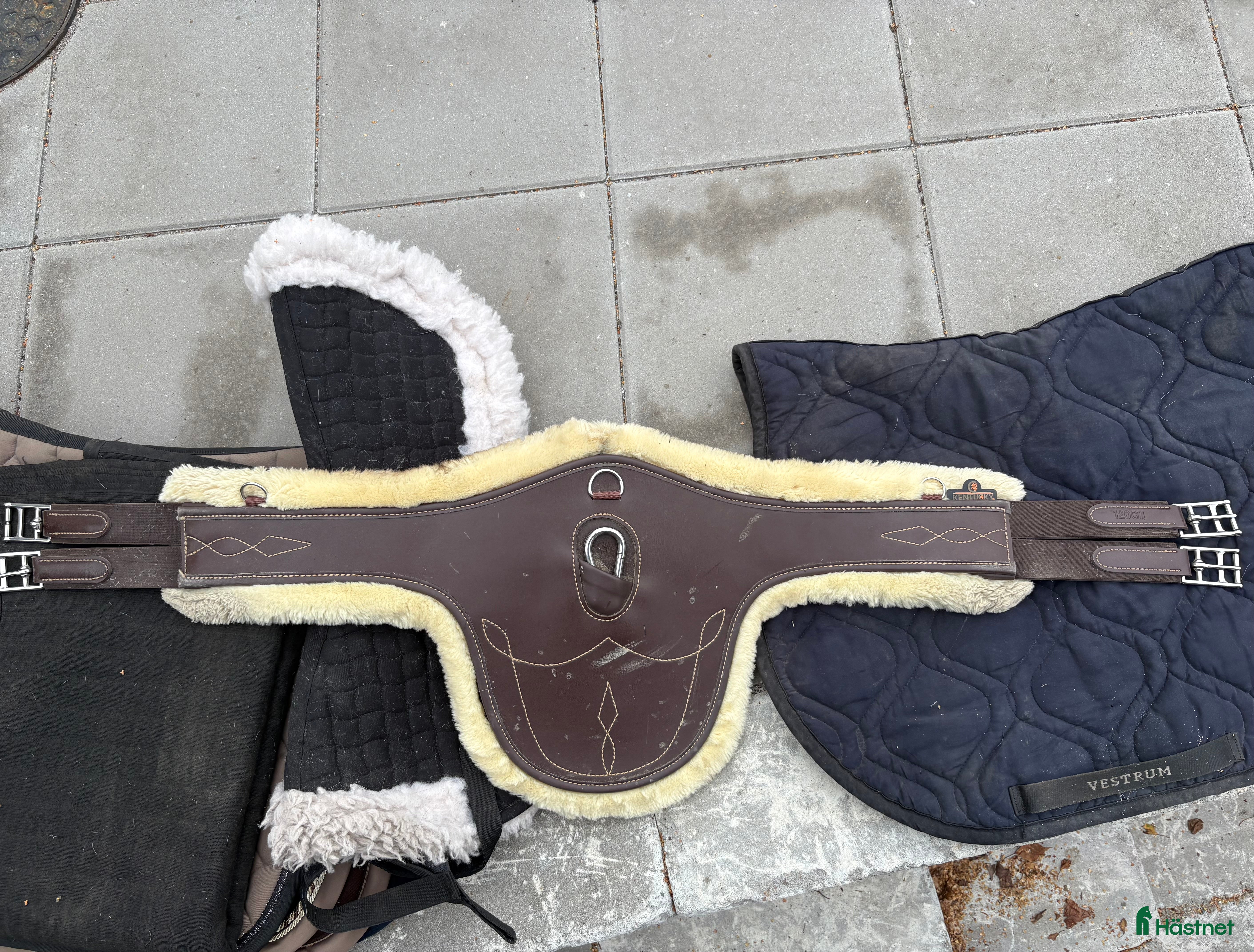 Sadeltillbehör hästutrustning till salu: Magplatta, nyskick i Genarp - Annons 20