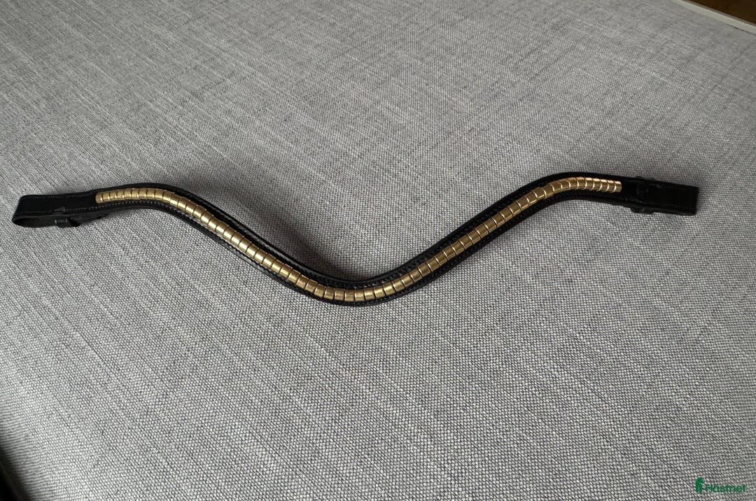 Träns hästutrustning till salu: The Equemist pannband  i Täby - Annons 1