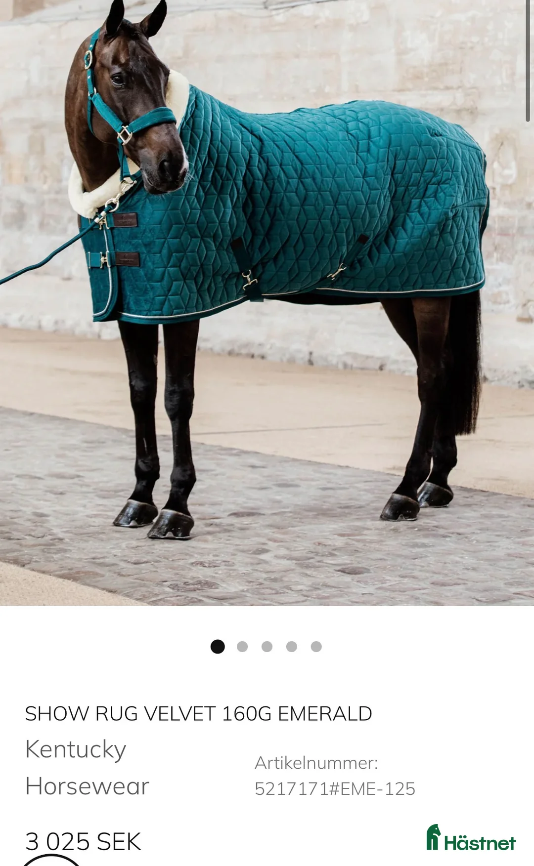 Täcken hästutrustning till salu: Oanvänt Kentucky velvet show rug  - Annons 5
