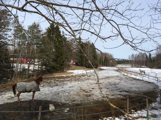 stallplats Plats ledig i lösdrift mellan Knivsta och Rimbo i Knivsta - Annons 12