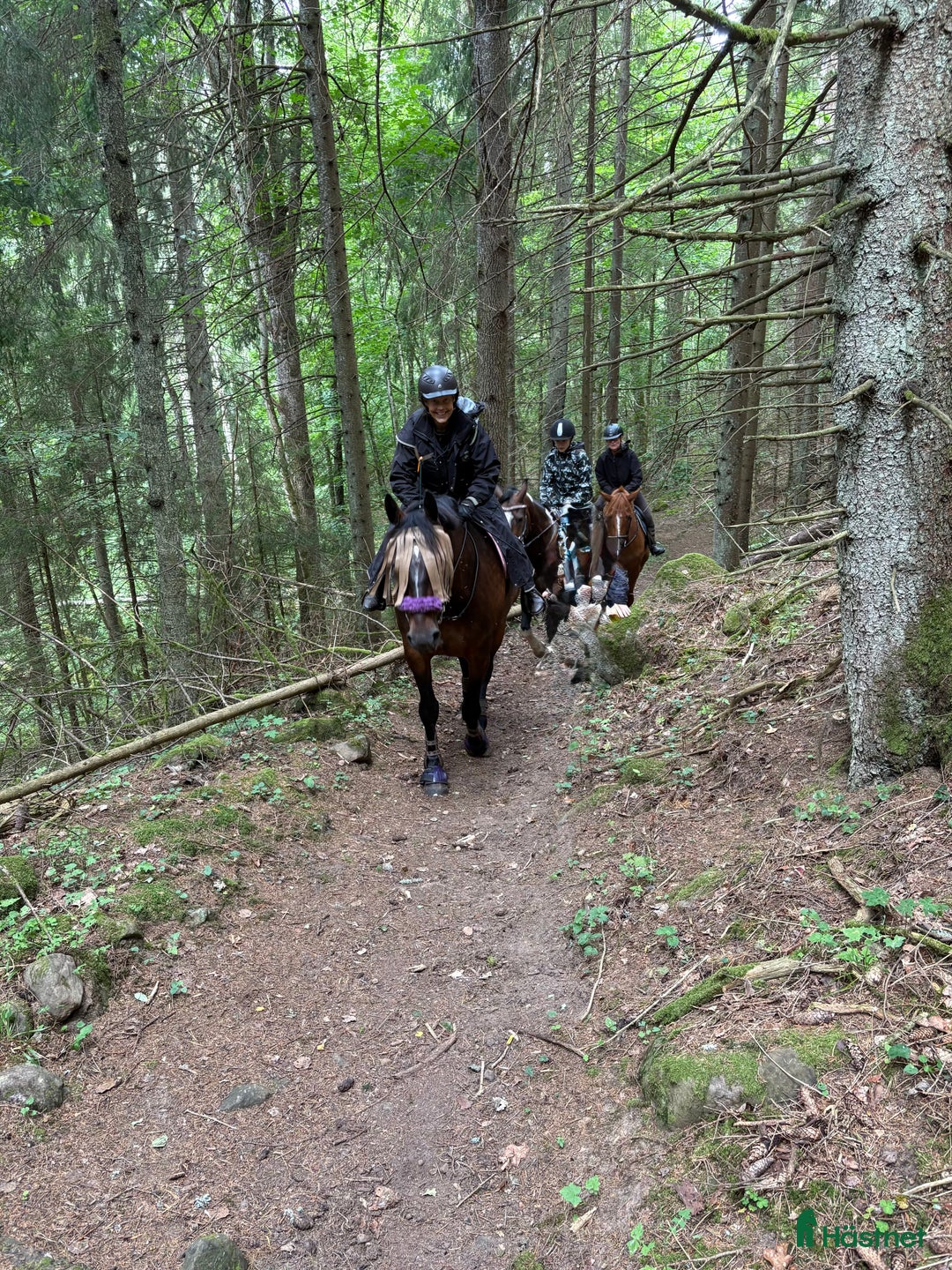  stallplats finnes: Lediga stallplatser i Skövde - Annons 6