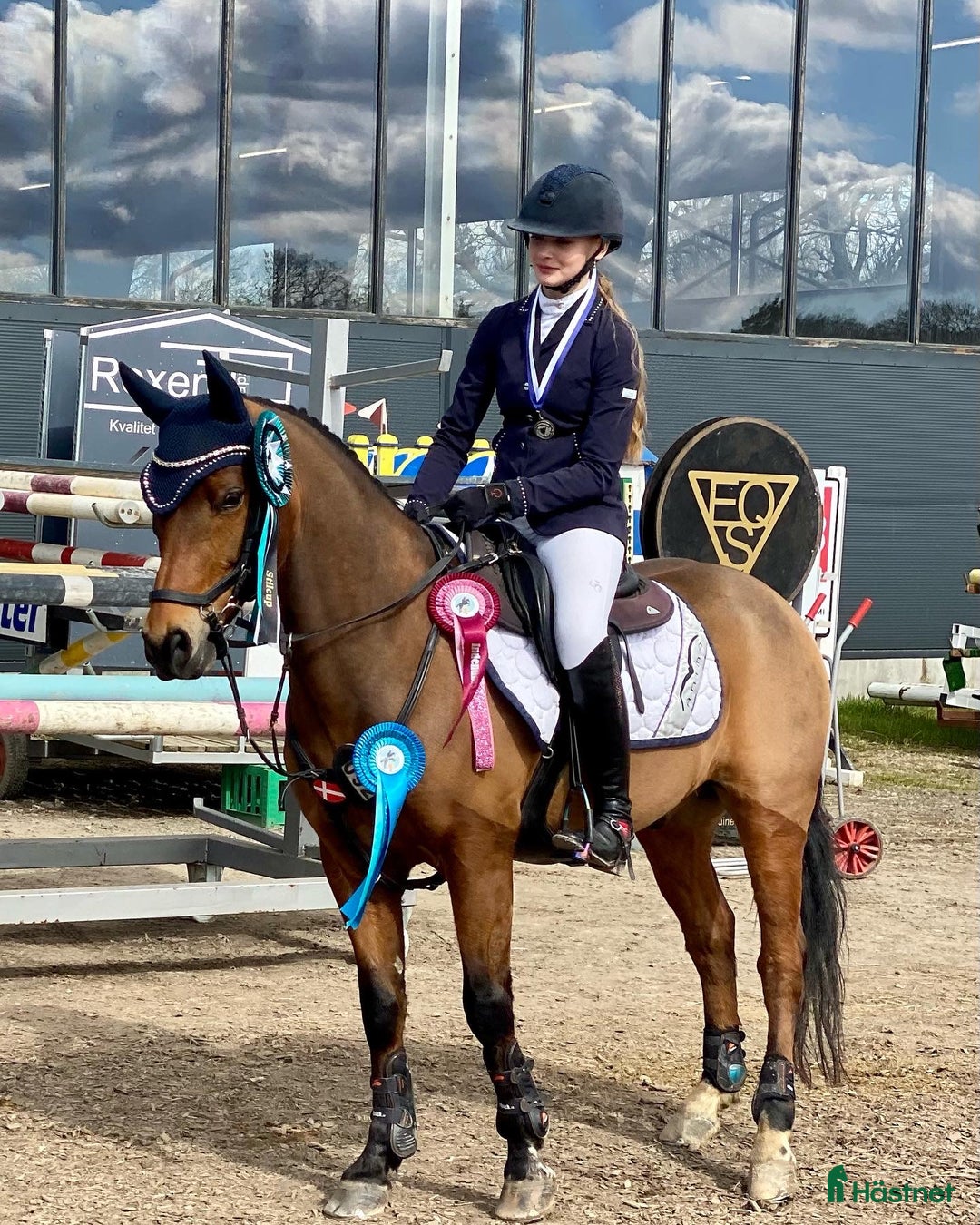 Hoppning hästar till salu: Romeo’s Karl Smart i Roskilde - Annons 3