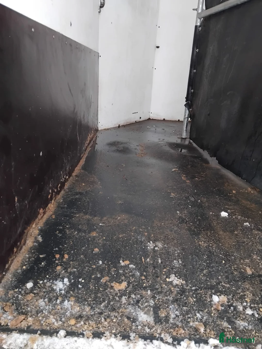 Hästtransporter  fordon & transport till salu: Hög lastvikt,kompositgolv o pris inkl moms - Annons 5