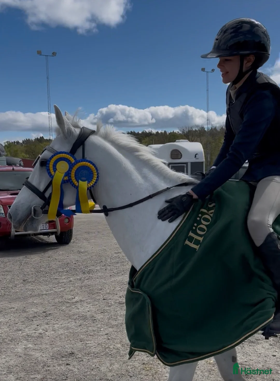 Allround hästar till salu: Drömponny för valfri gren 🌟 - Annons 4