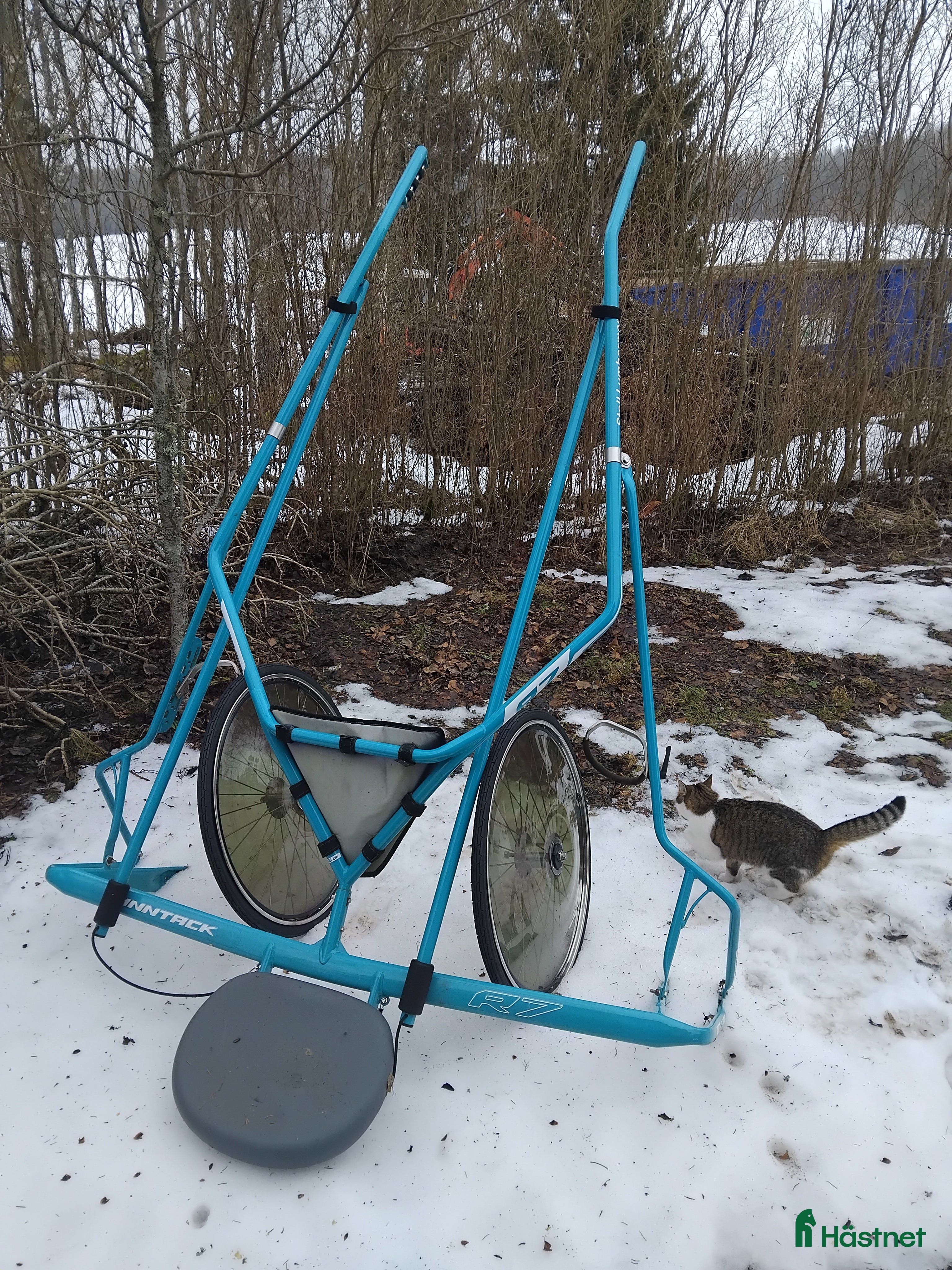 Travsulkys trav till salu: Finntack R7 - Annons 1