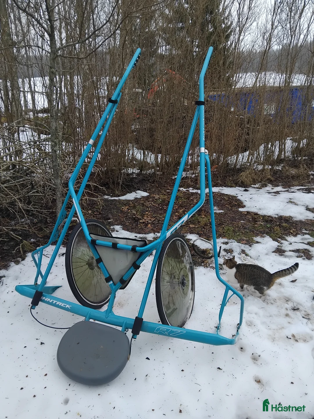 Travsulkys trav till salu: Finntack R7 i Rö - Annons 1