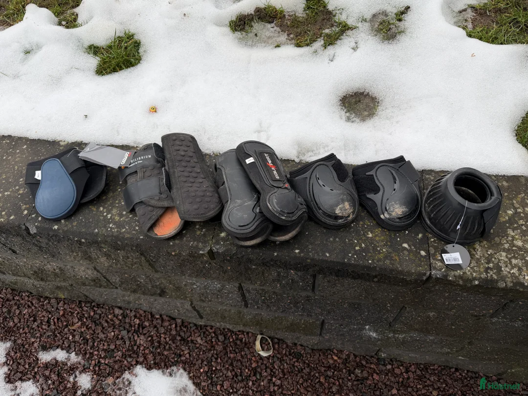 Övrig Hästutrustning hästutrustning till salu: Blandad utrustning till ponny/cob i Linköping - Annons 4