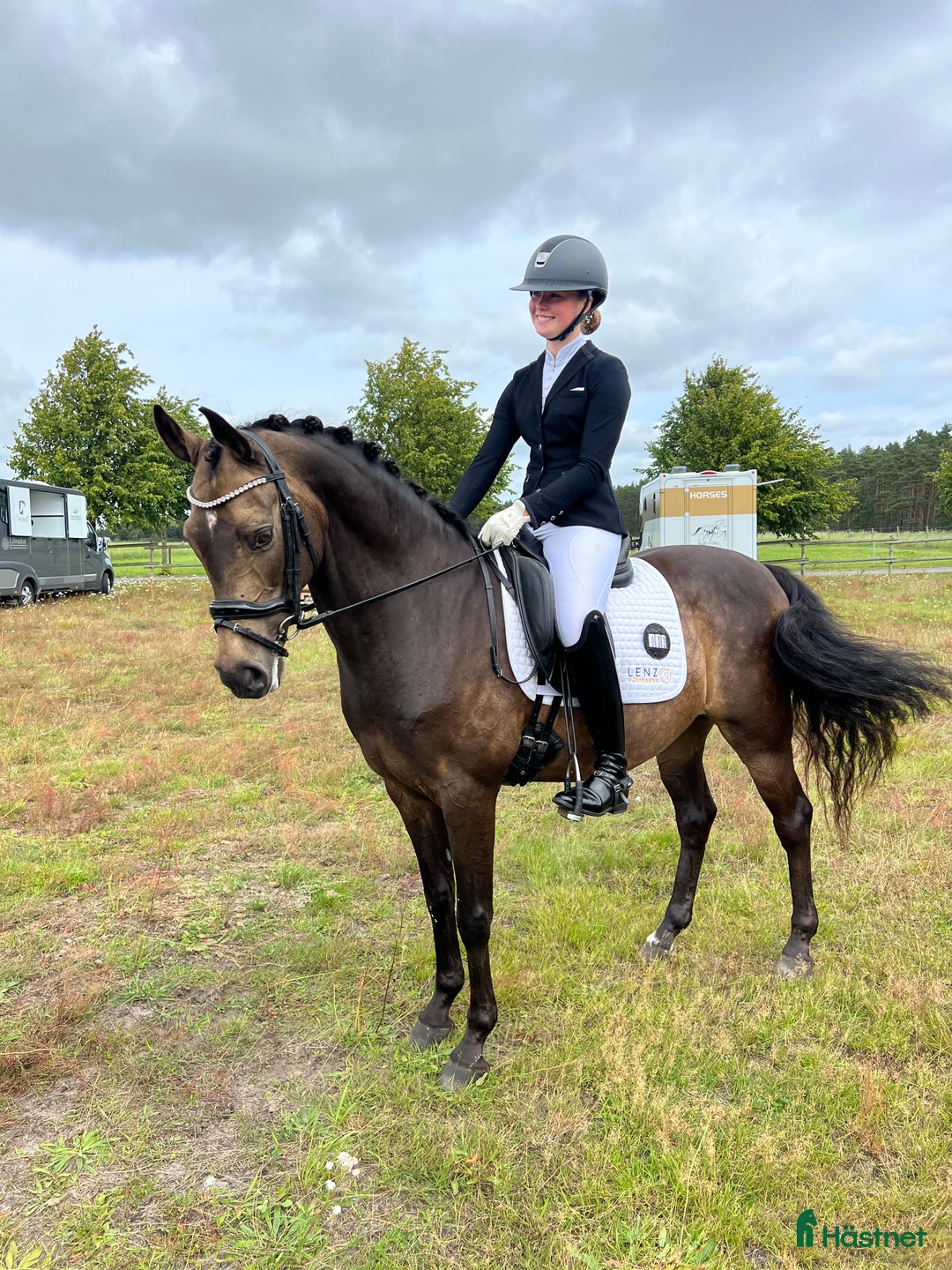 Dressyr hästar till salu: Topp FEI ponny i Nybrostrand - Annons 2