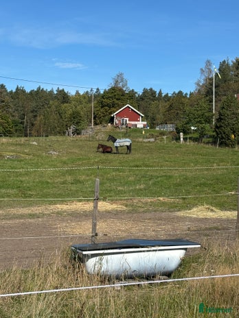 hästar i Stockholm - Annons 1