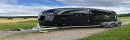 Hästtransporter  fordon & transport till salu: Böckmann Comfort Black edition Bytes? - Annons 1