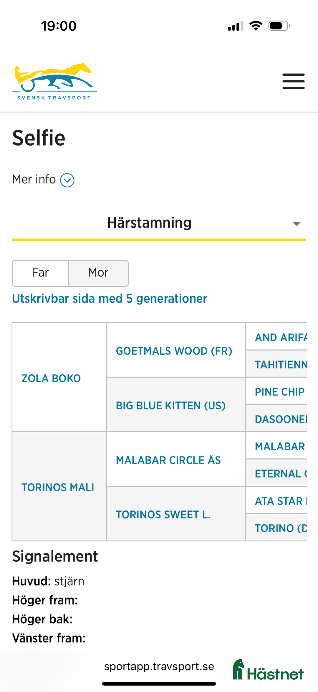 Trav hästar till salu: Välhanterat årsföl e Hayden Hanover i Tystberga - Annons 12