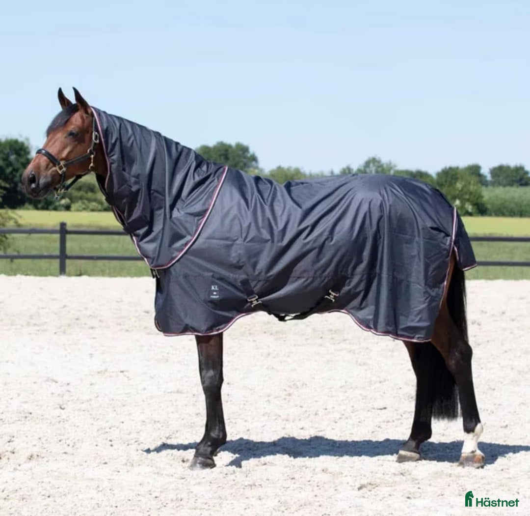 Täcken hästutrustning till salu: Kingsland 100g regntäcke.  i Hunnebostrand - Annons 1