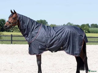 Täcken hästutrustning till salu: Kingsland 100g regntäcke. i Hunnebostrand - Annons 1
