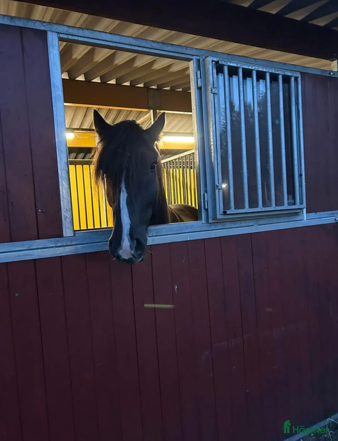  stallplats finnes: Uteboxar i Stav i Tungelsta - Annons 4